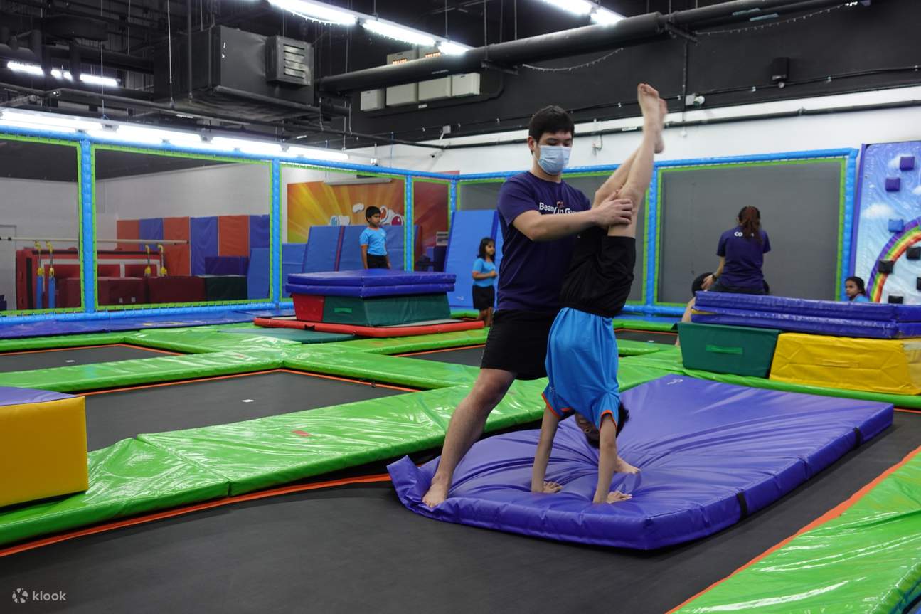 BearyFun Gym