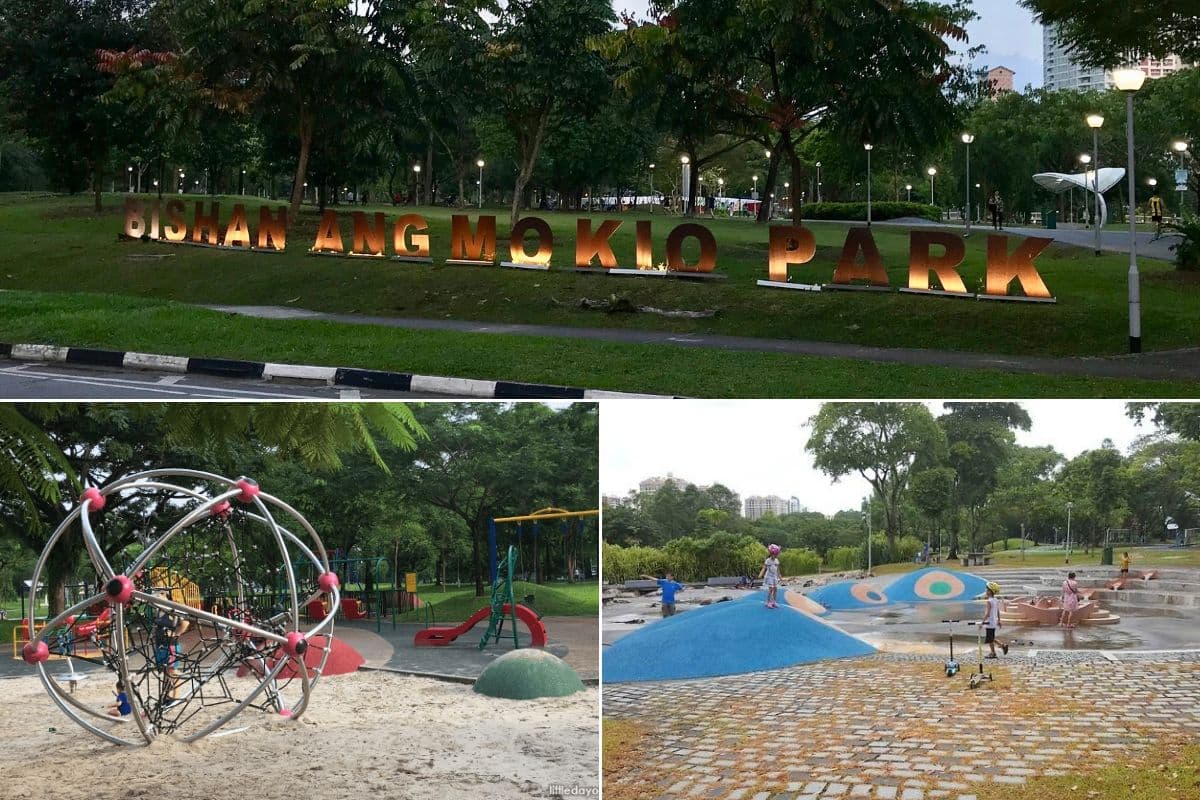 Bishan-Ang Mo Kio Park Playground