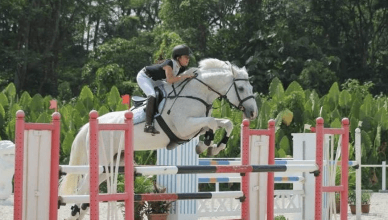 Bukit Timah Saddle Club