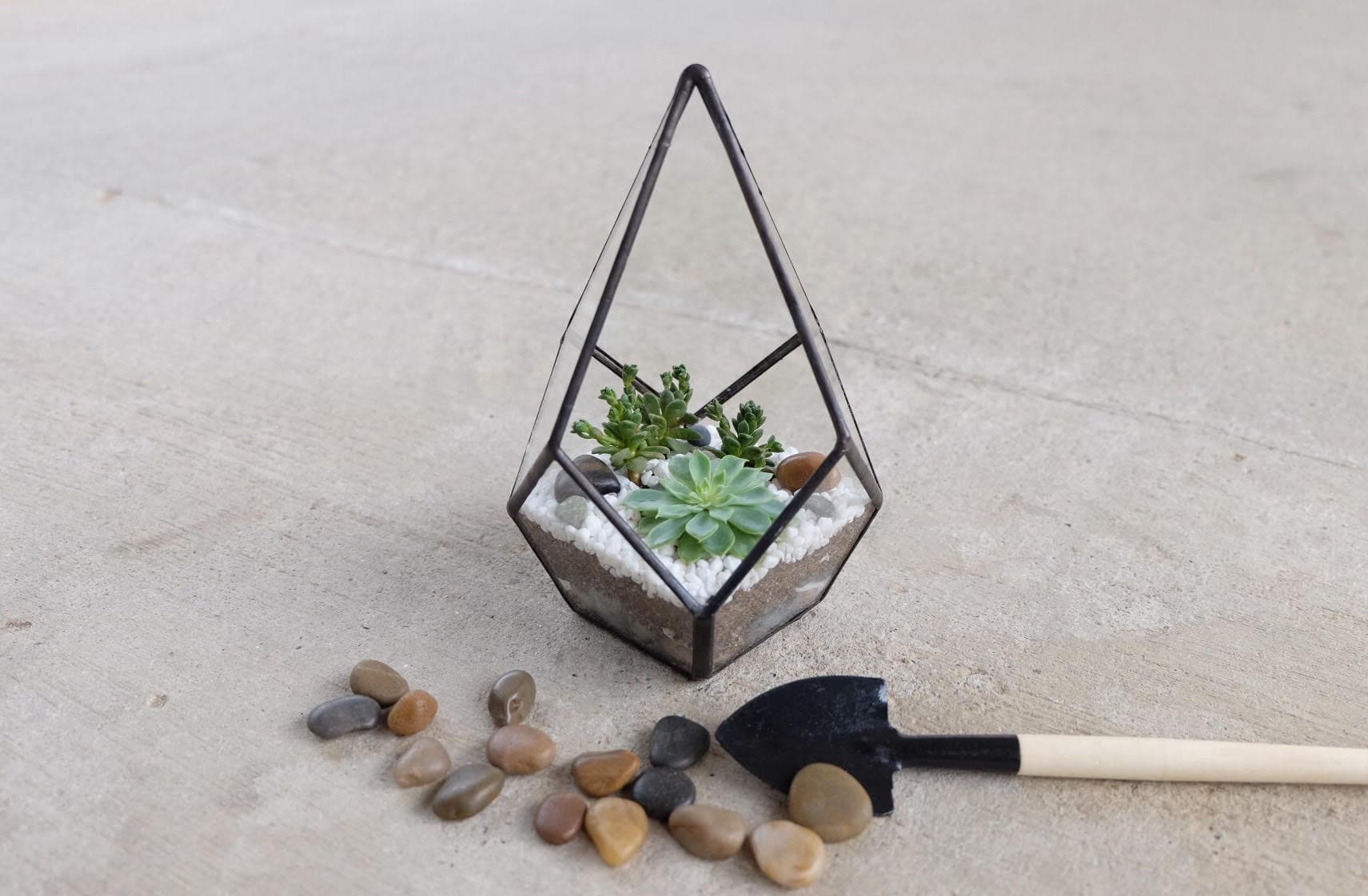 Craftsforgreen Workshops