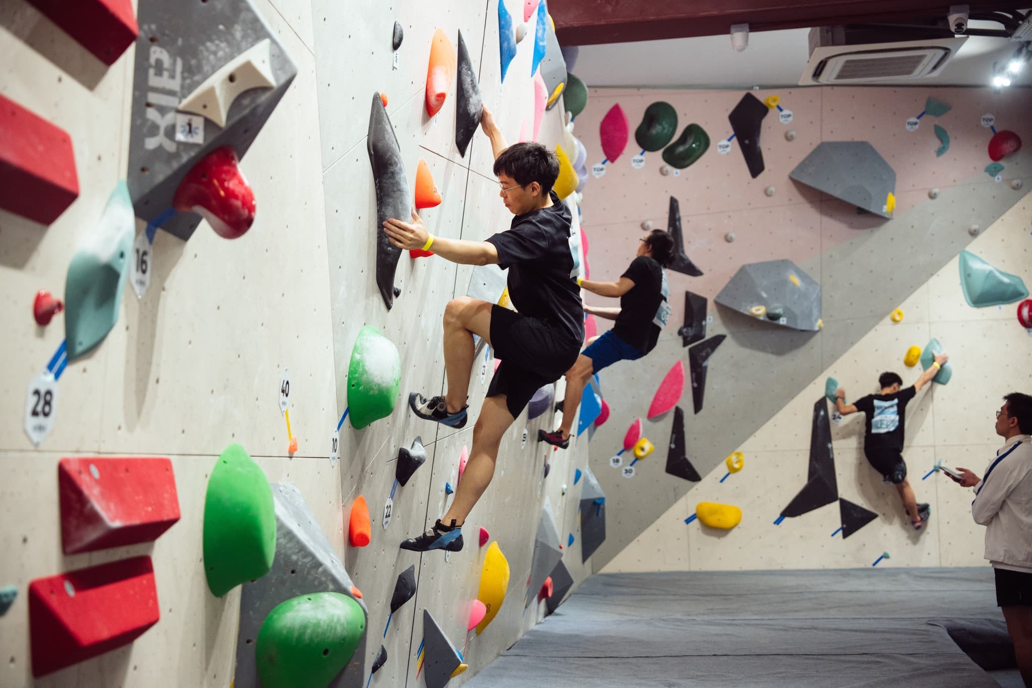 fit bloc