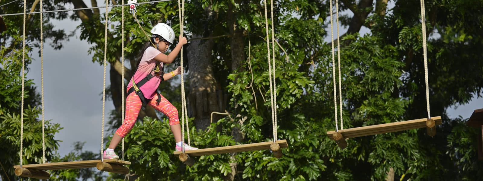 Forest Adventure