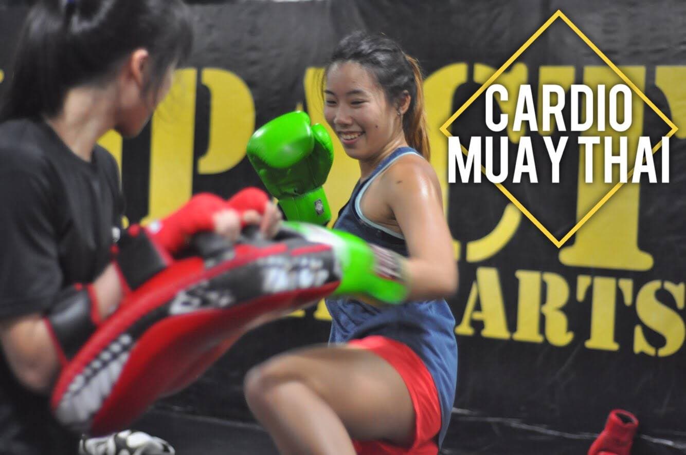Impact MMA photo 3