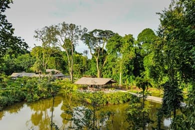 Learning Forest