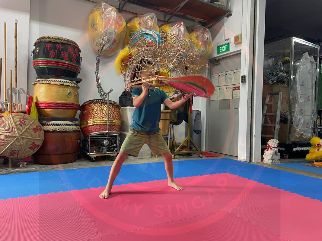 Lion Dance Academy Singapore photo 2