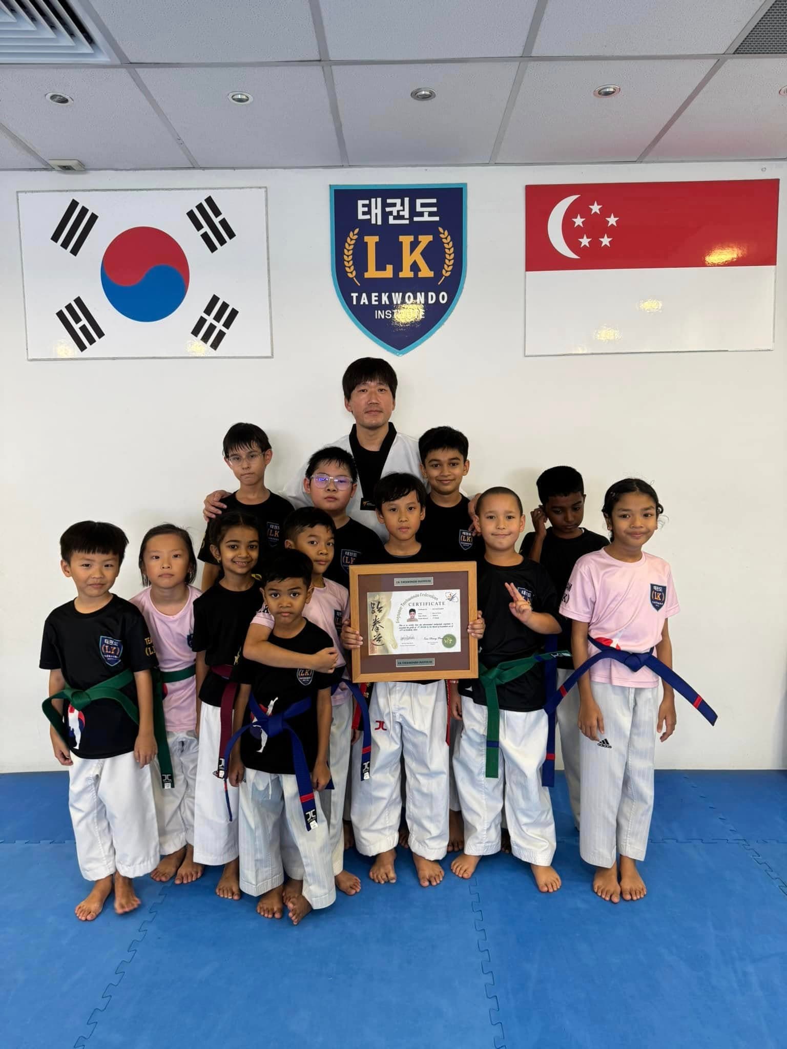 LK Taekwondo Institute