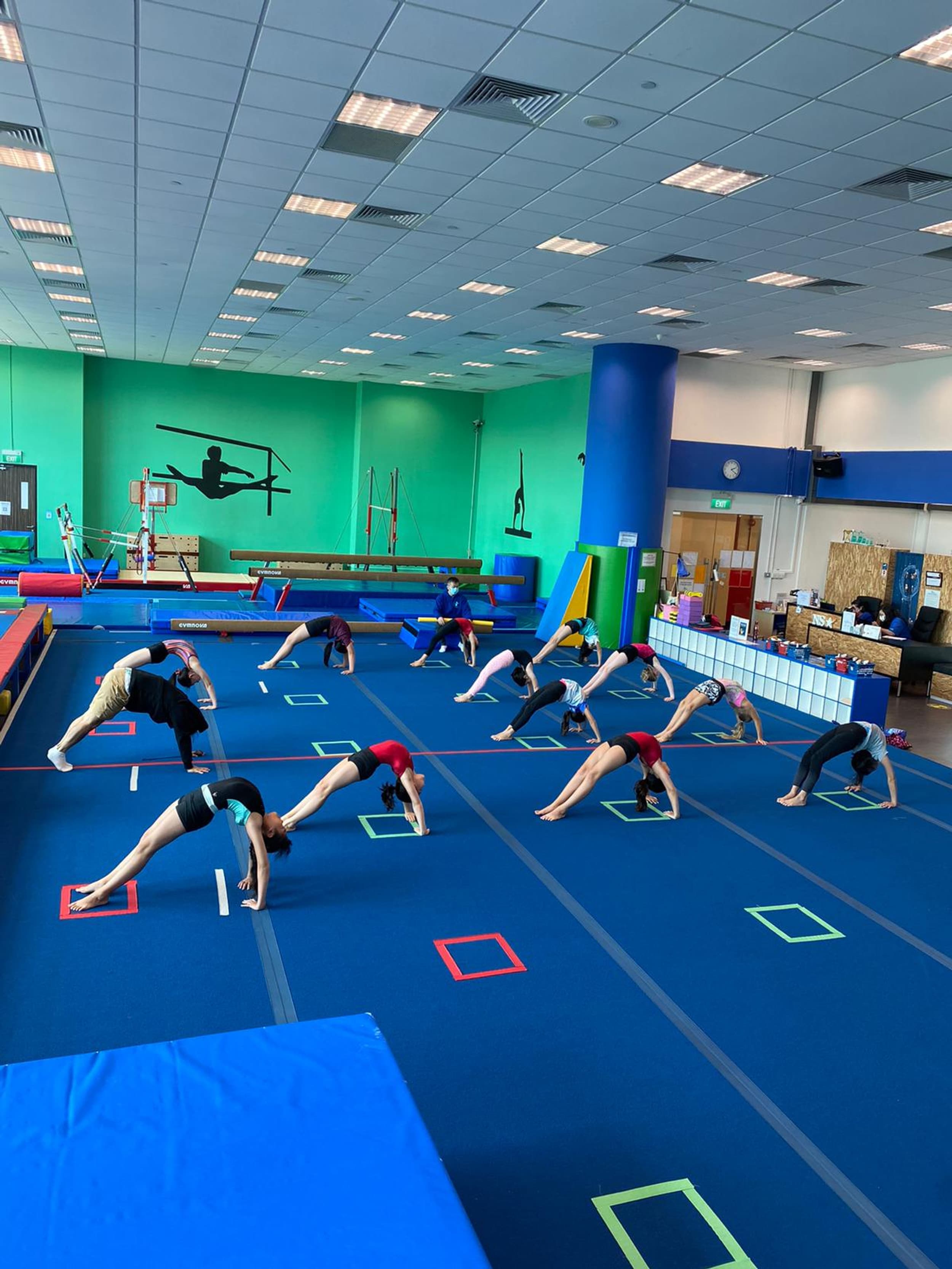 NorthStar Gymnastics and Fitness