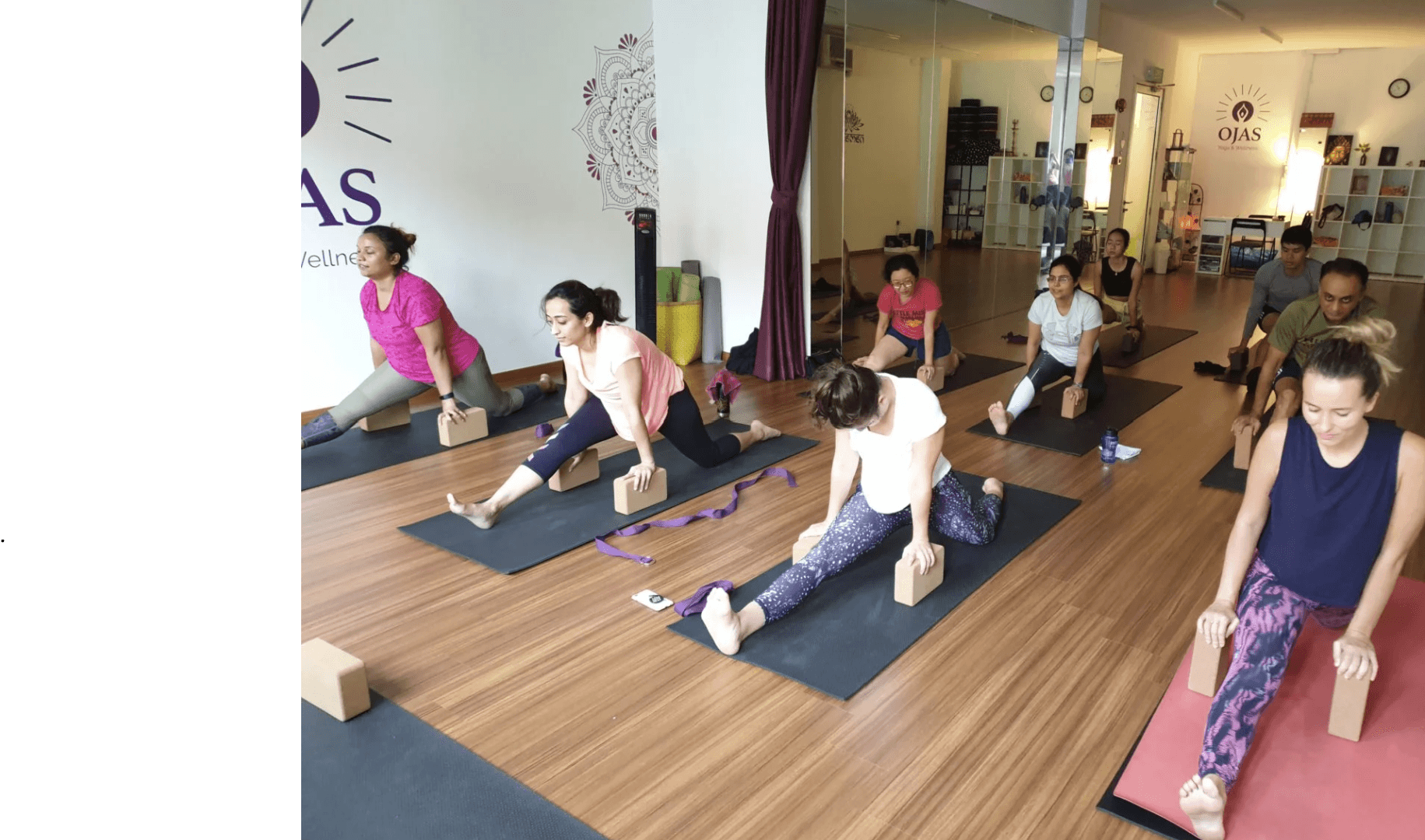 Ojas Yoga and wellness