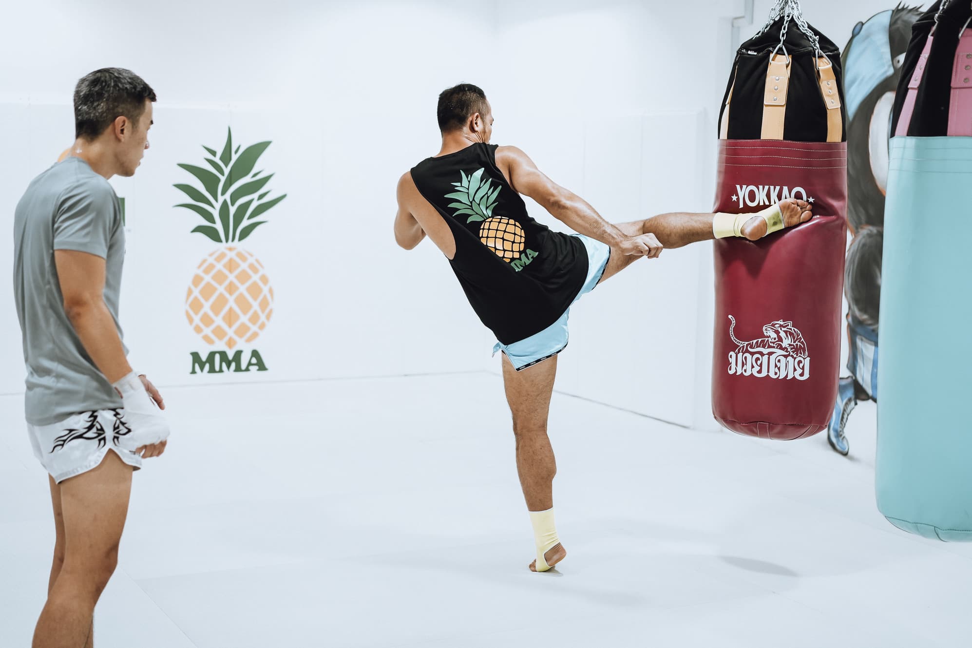 Pineapple MMA