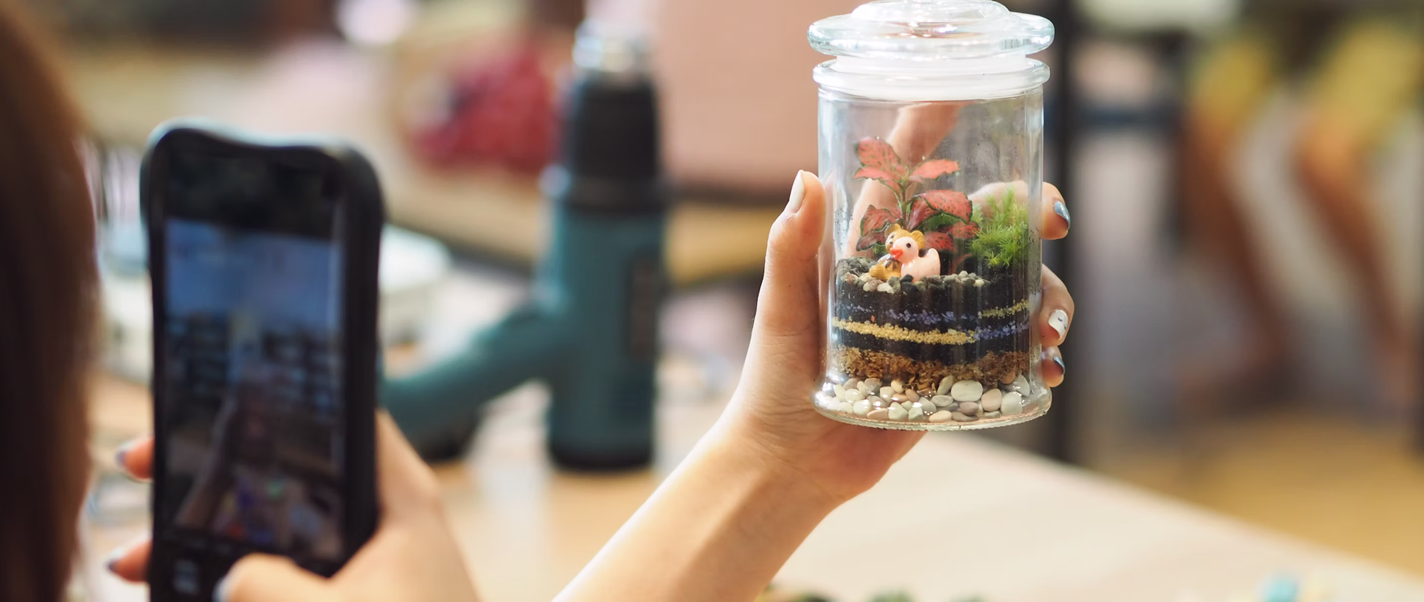 J2 Terrarium