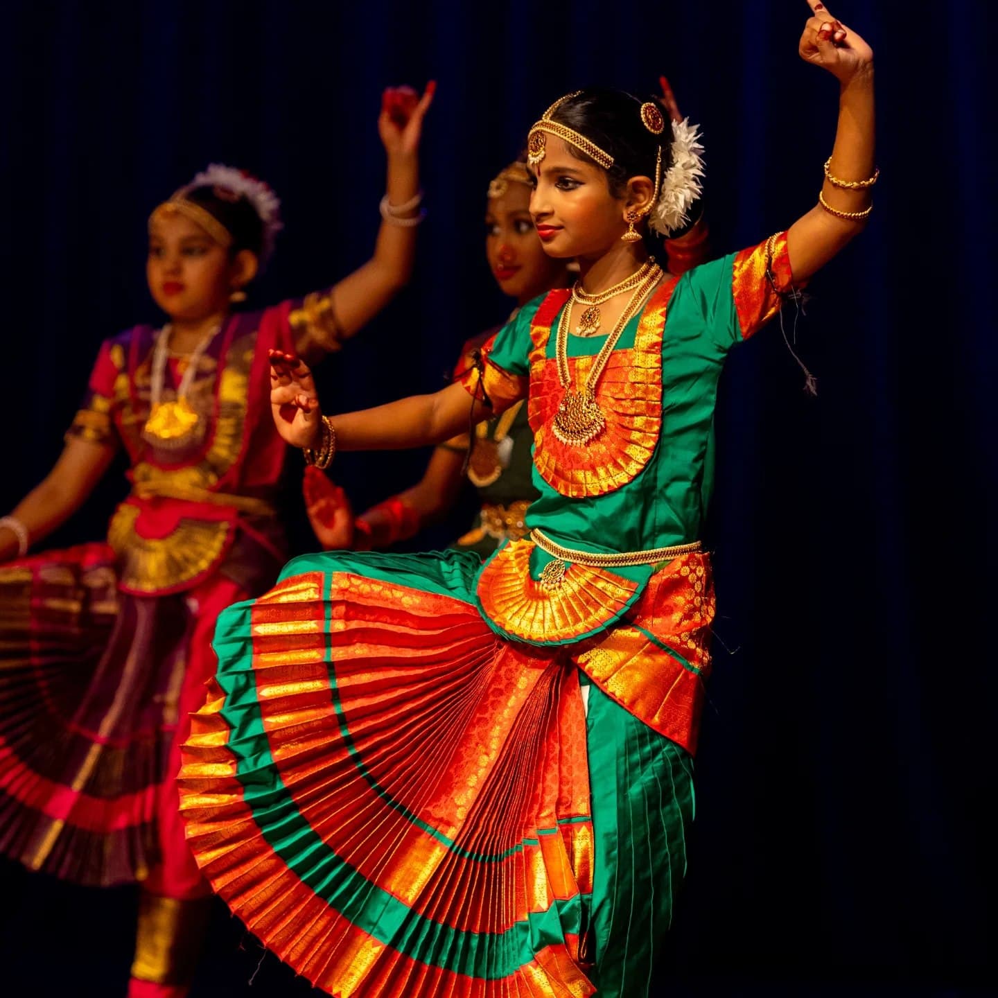 Sarva Fine Arts photo 2