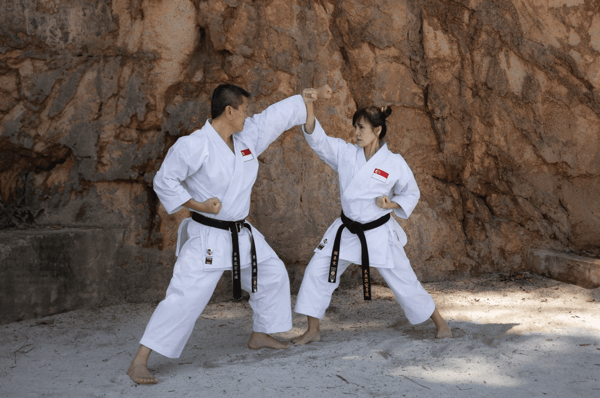 Shitoryu Singapore Karate-Do Kai