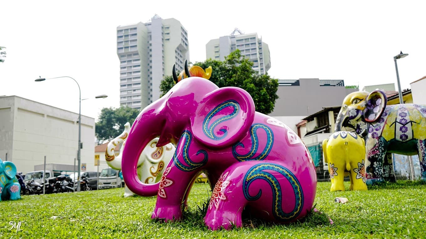 Small Open Park photo 3