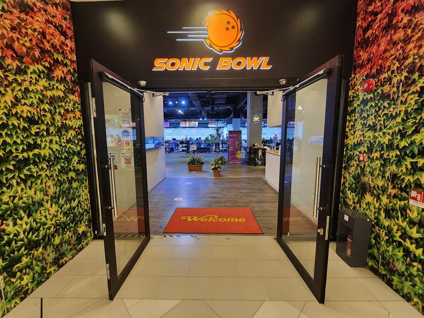 Sonic Bowl