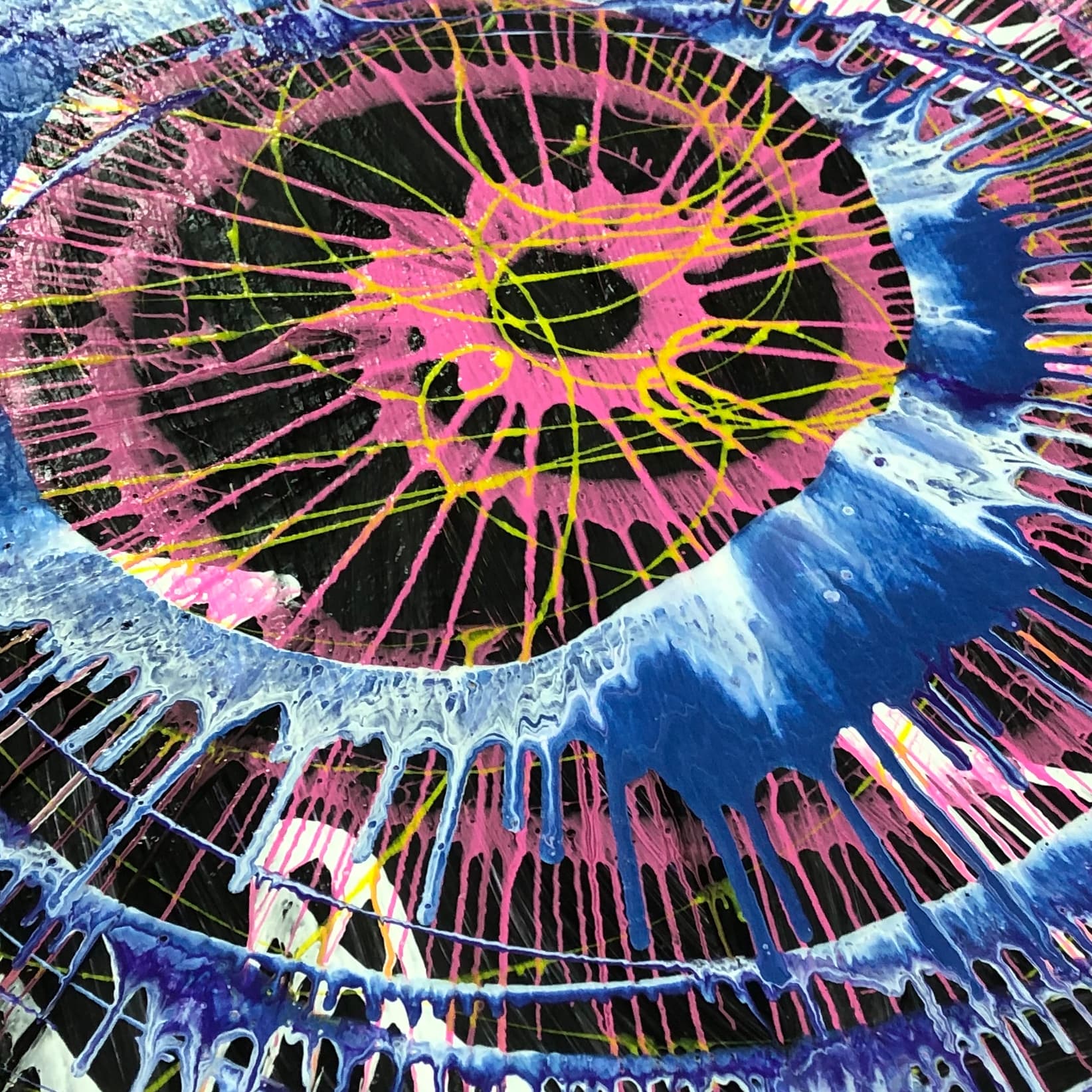 Spin Paint House photo 5