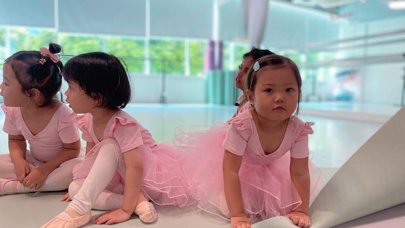 Swan Ballet Academy photo 2