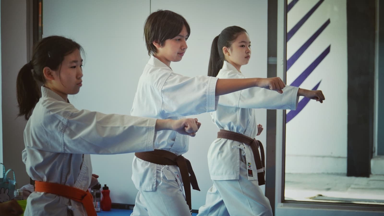 The Karate Academy