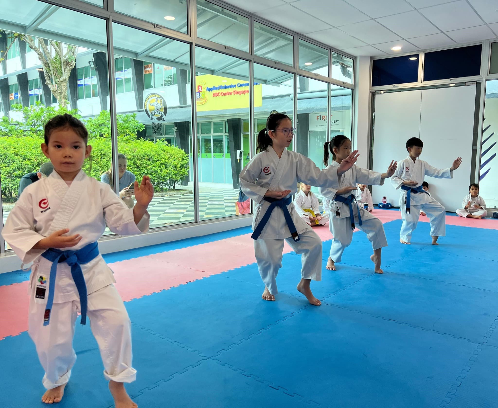 The Karate Academy photo 2