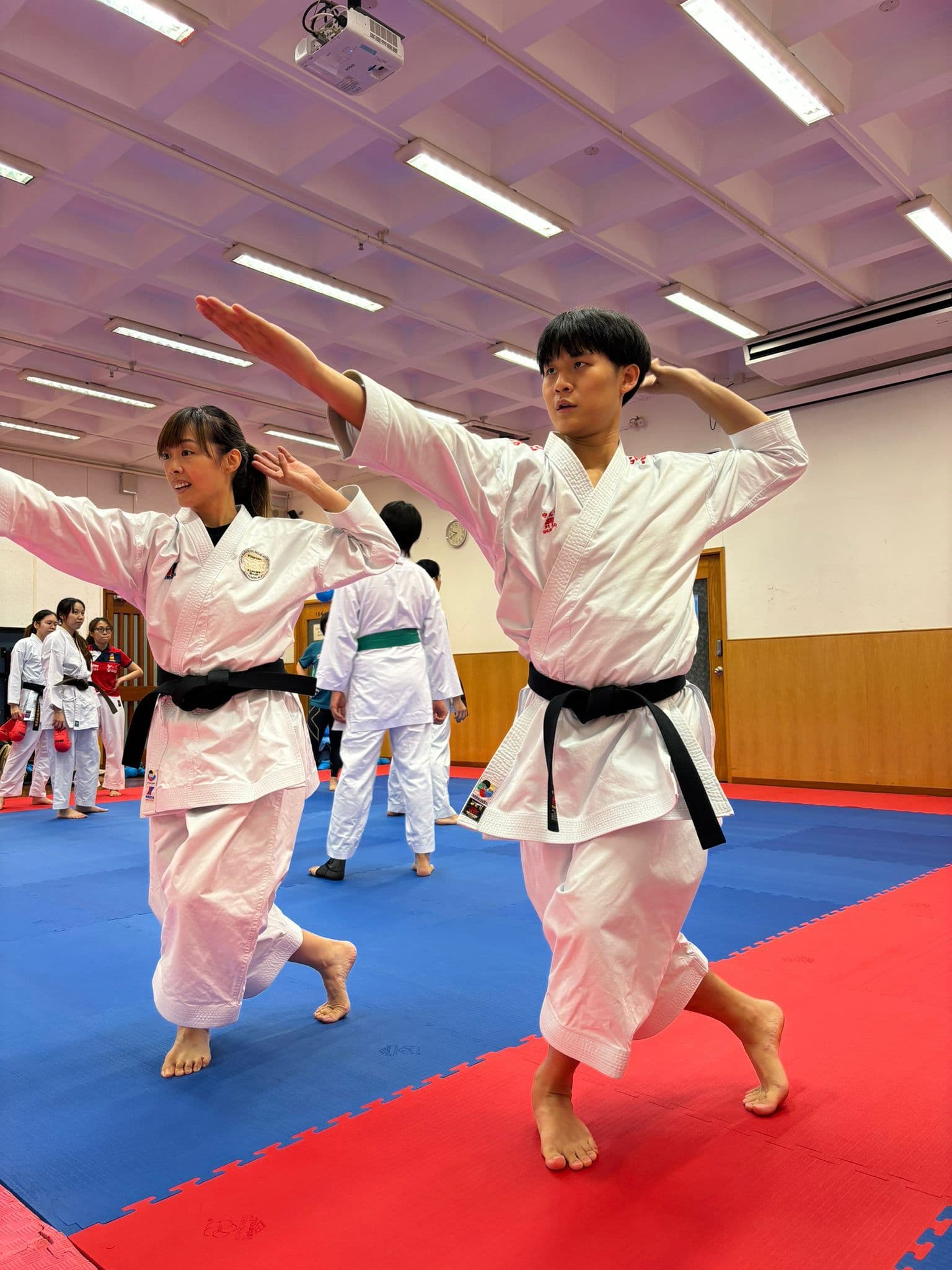 The Karate Academy photo 3