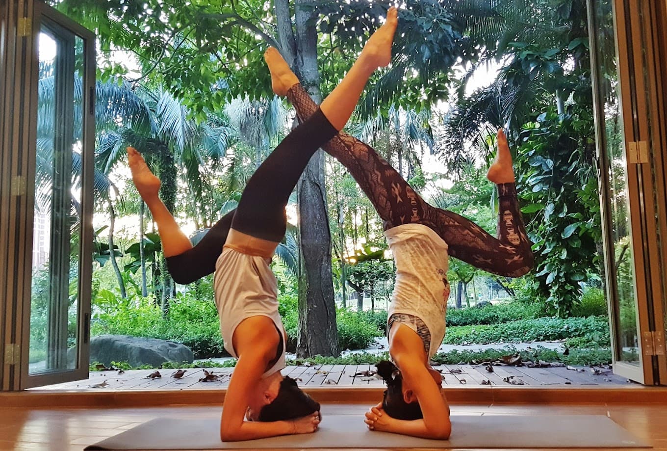 Yoga Seeds photo 3